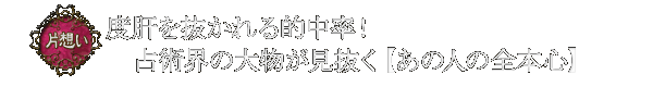 �Бz���@�x�̂𔲂����I�����I�@��p�E�̑啨���������y���̐l�̑S�{�S�z