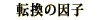 �]���̈��q